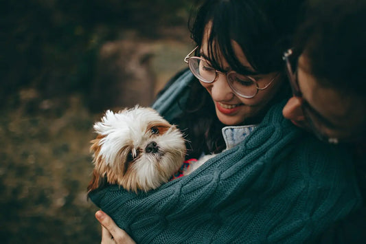 Cómo fortalecer el vínculo con tu perro